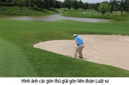 long thanh 5.jpg